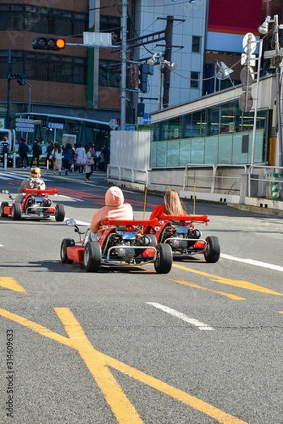 Obraz 公道カート