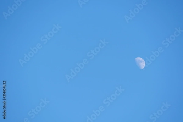 Fototapeta 昼の月