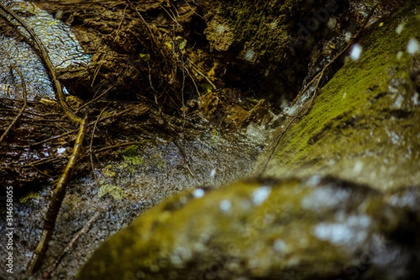 Fototapeta Refreshing splashes.