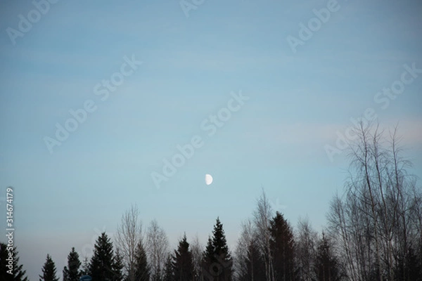 Obraz 北欧の空と月と森