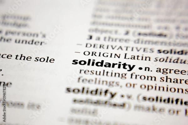 Obraz Word or phrase solidarity in a dictionary.