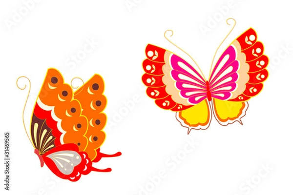 Obraz Butterflies