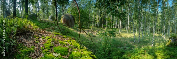 Obraz Celtic fairground in the summer in the Blockheide Nature Park in Gmünd in the Waldviertel