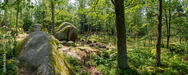 Obraz Celtic fairground in the summer in the Blockheide Nature Park in Gmünd in the Waldviertel