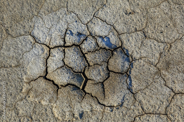 Obraz Texture of dry desert, background