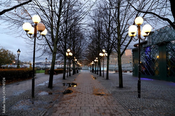 Fototapeta Footpath by dusk, with dark trees and lanterns in Stockholm Sweden in fall season Next to the river