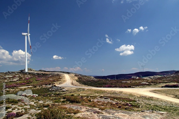 Fototapeta wind turbine
