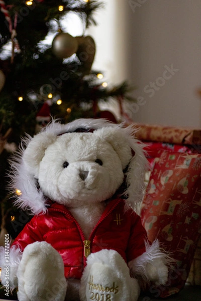 Obraz teddy bear with gift