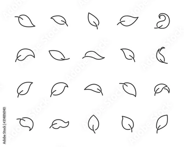 Fototapeta set of leaf icon, natural, spring, eco