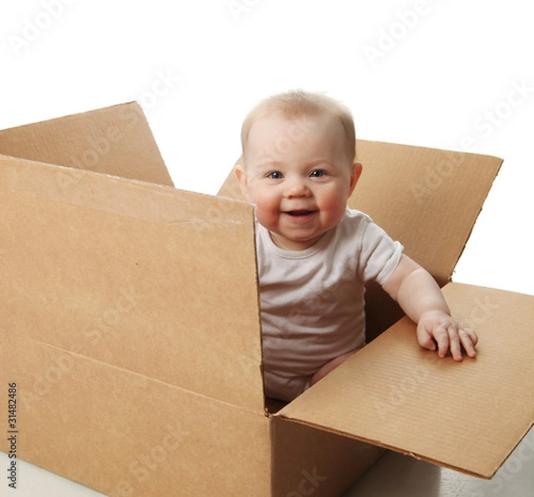 Obraz Baby in a box