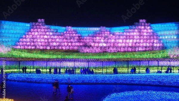 Obraz なばなの里イルミネーション2020