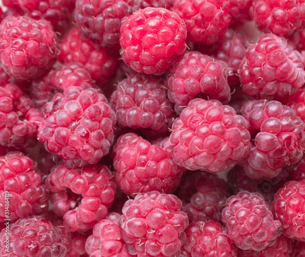 Obraz raspberries on white background