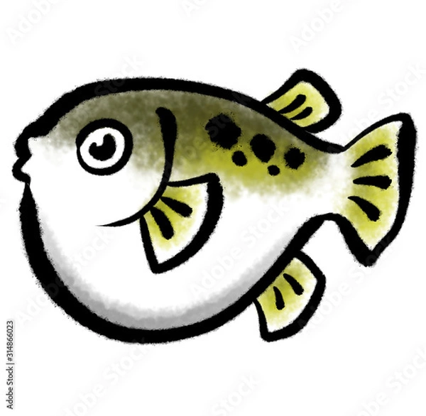 Obraz 河豚のイラスト_カラー