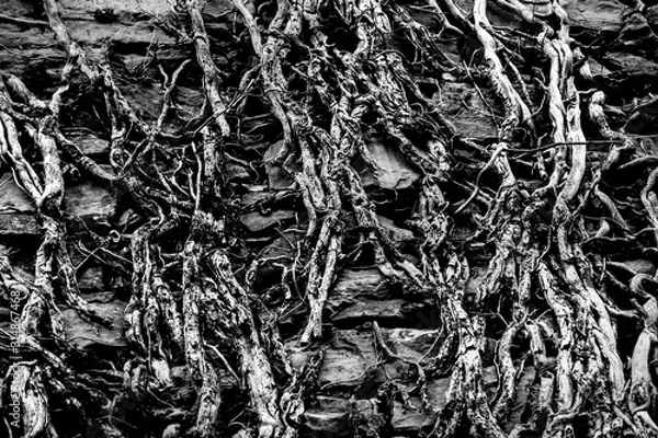 Fototapeta Texture patterns