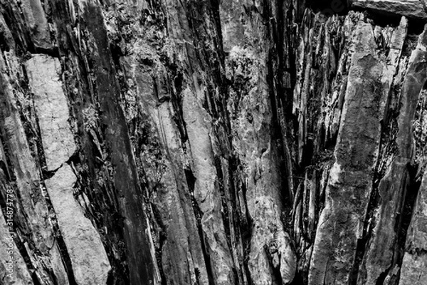 Fototapeta Texture patterns