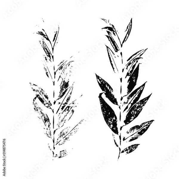 Obraz Leaf silhouette elements set isolated on white background.