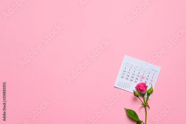 Fototapeta single rose flower lying on calendar page showing february 2020, valentin, valentine card concept, calendar, pink background, flatlay, copyspace, blank
