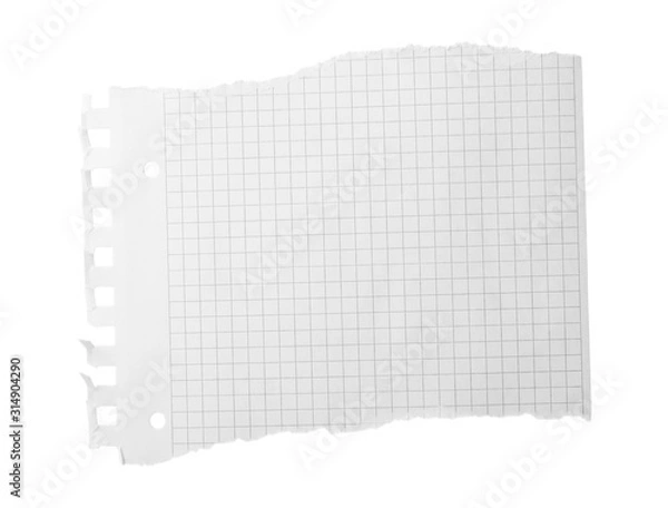 Fototapeta Piece of blank notebook paper isolated on white. Space for design