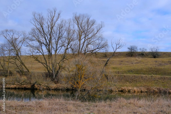 Fototapeta Landscape. Trees and dry grass along the shore of a small river in late autumn.