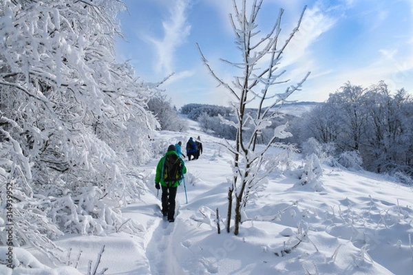 Obraz Bieszczady zima połonina Wetlińska