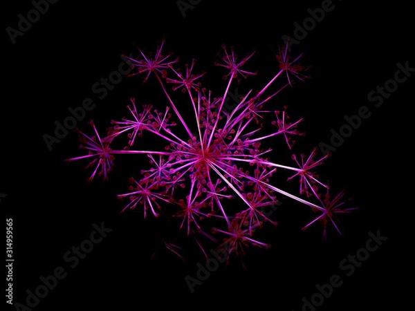 Obraz Neon Pink Dill