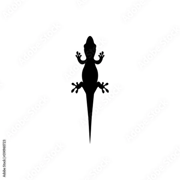 Obraz lizard vector 