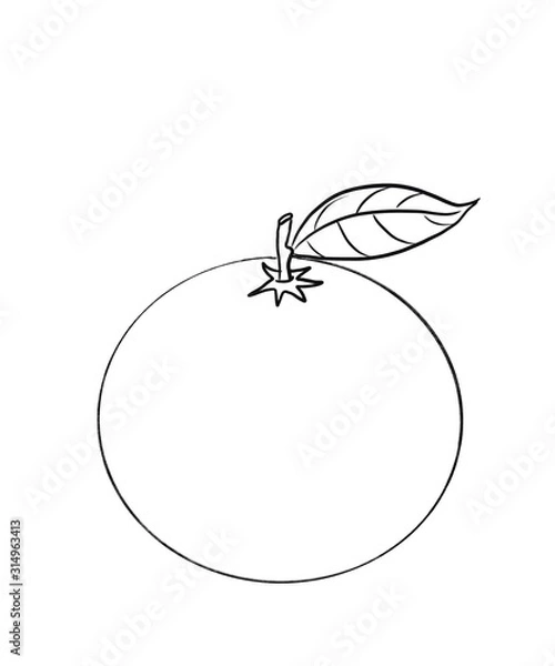 Obraz vector illustration of apple coloring for children