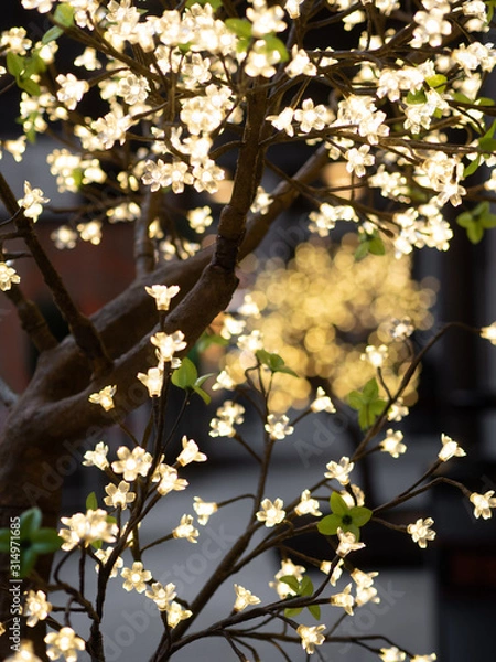 Obraz Christmas light flowers