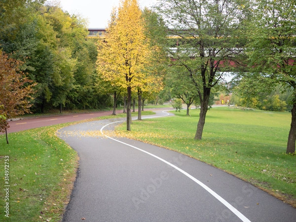 Obraz road in nature