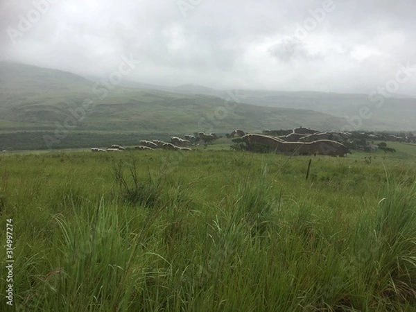 Obraz sunset over green field