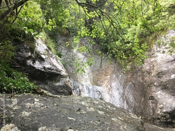 Obraz waterfall in forest