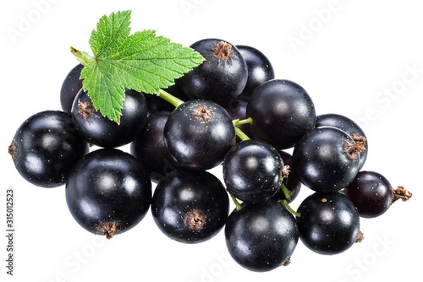 Obraz Ripe blackcurrant branch with green leaf on the white background.
