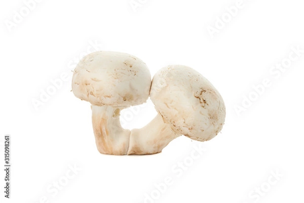 Obraz Сhampignon mushrooms isolated on white background, close up