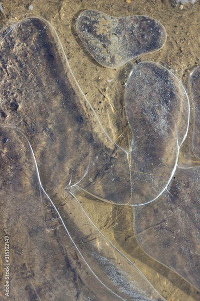 Obraz transparent ice texture on a frozen puddle