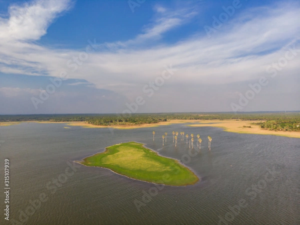 Fototapeta aerial view of a lake with palm trees and a beautiful small island famous for bird nesting with green vegetation cover with clear blue sky in the background. 