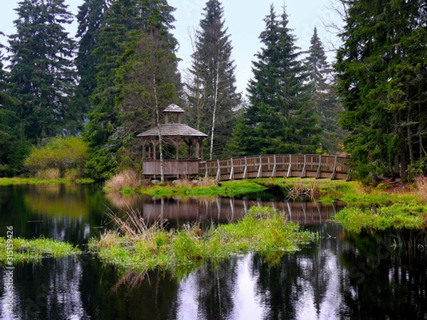 Fototapeta Wooden bridge and gazebo under the moss in national reservation Kladska near Horni slavkov. it is situated in Cezch republic.