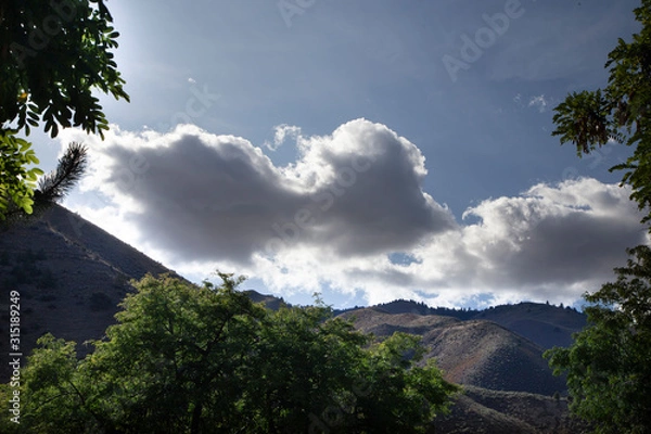 Obraz Landscape 2019 #1