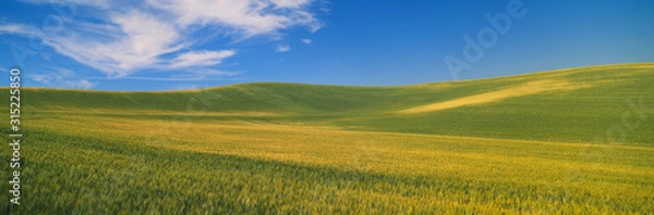 Obraz Wheat Fields, S.E. Washington