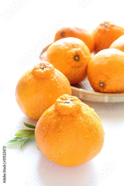 Obraz デコポンと雫