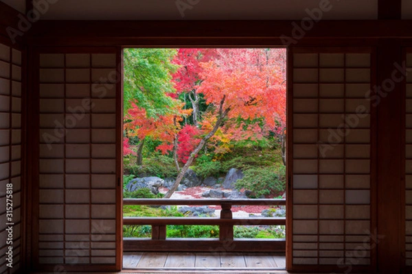 Fototapeta 京都　宝筐院（ほうきょういん）の紅葉　