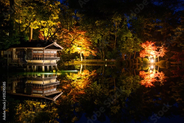 Fototapeta 兼六園のライトアップ