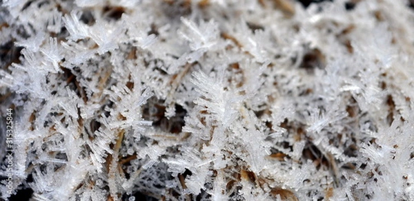 Fototapeta Hoar frost on the dry grass in the morning.
