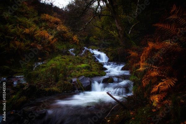Obraz Cascading Falls
