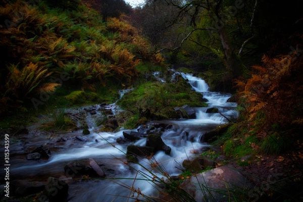Obraz Cascading falls