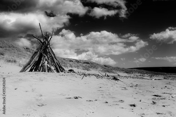 Obraz Driftwood Teepee