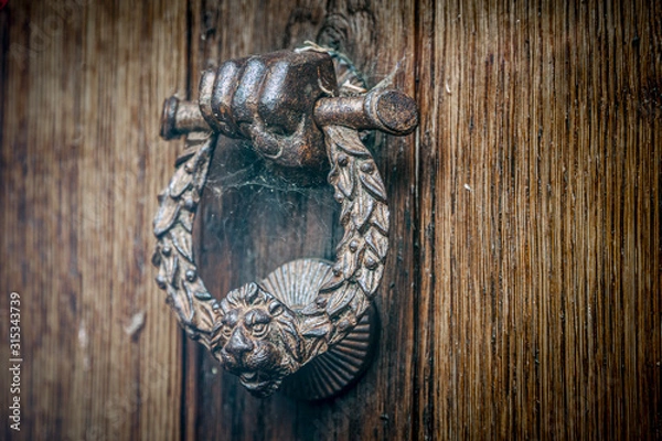 Obraz Door Knocker
