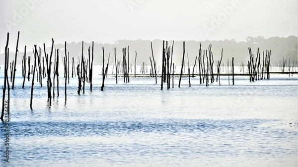 Obraz Bassin d'Arcachon
