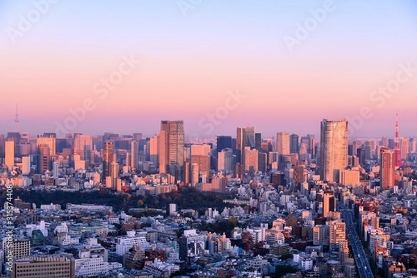 Fototapeta 東京の風景