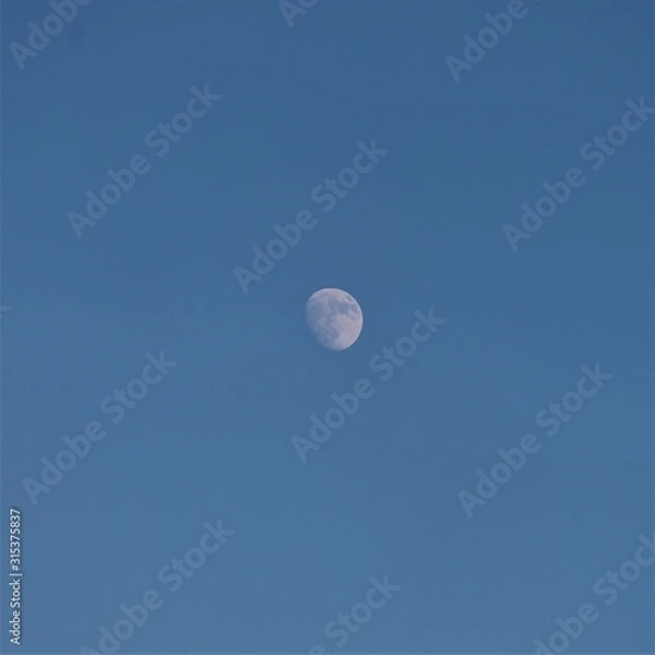 Obraz moon in the sky