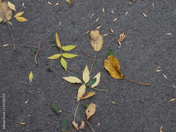 Obraz yellow leaf on asphalt